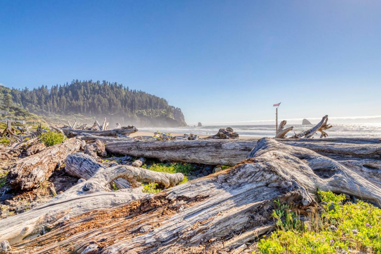 Cape Meares Overlook Zewnętrze zdjęcie